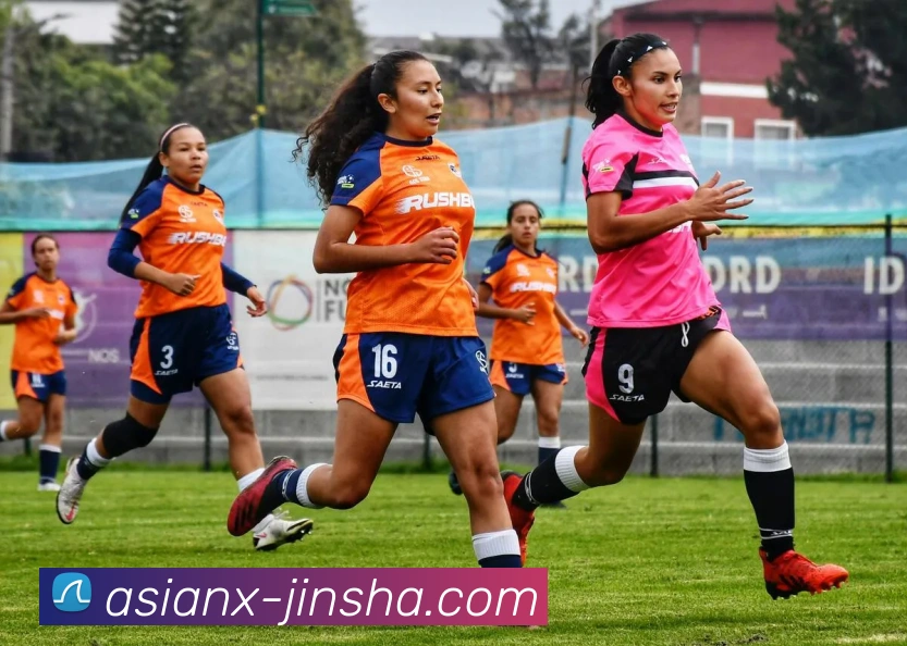 多媒体互动体验